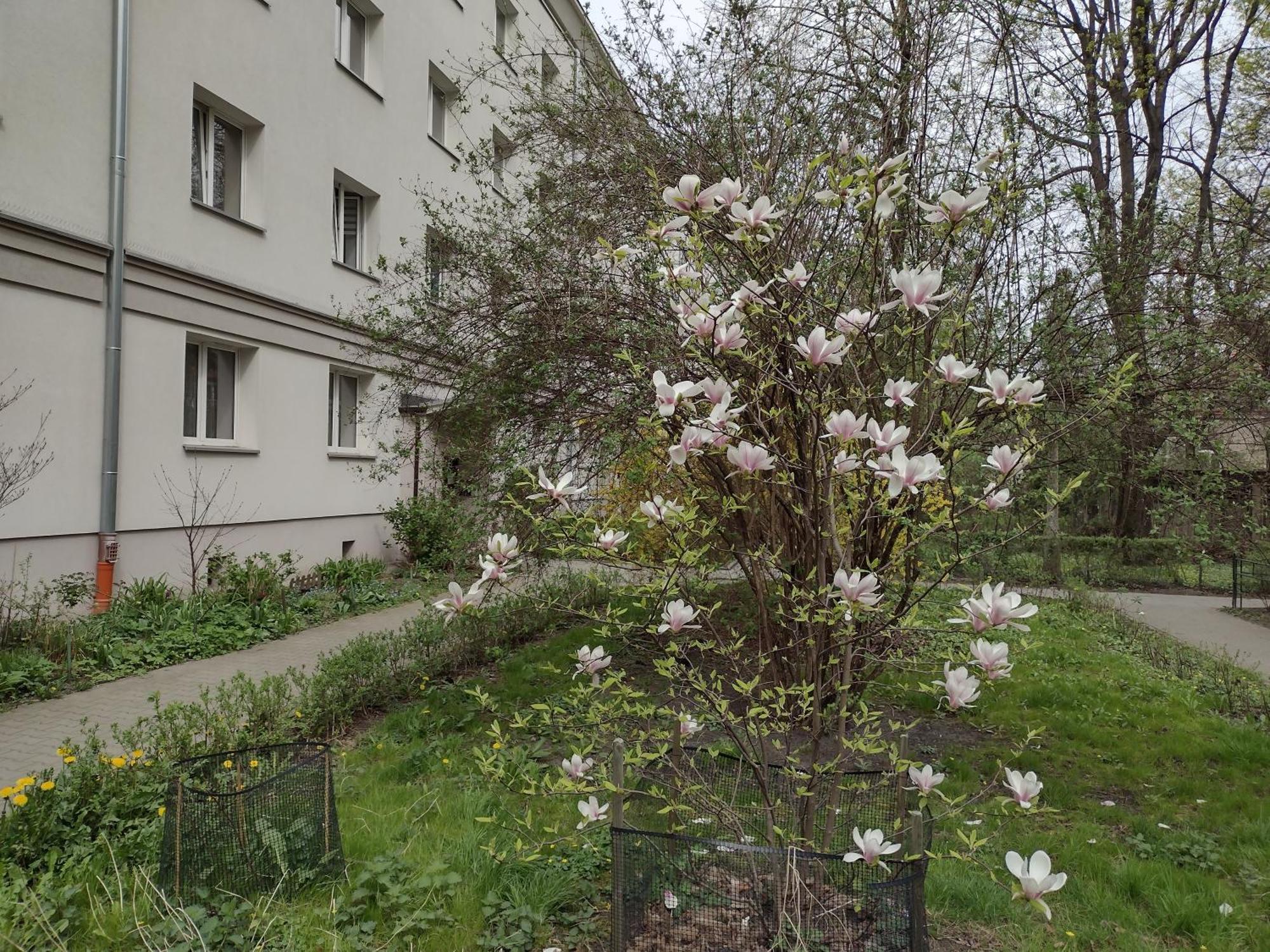 Cracowapart Ignacio A Kraków Exteriör bild