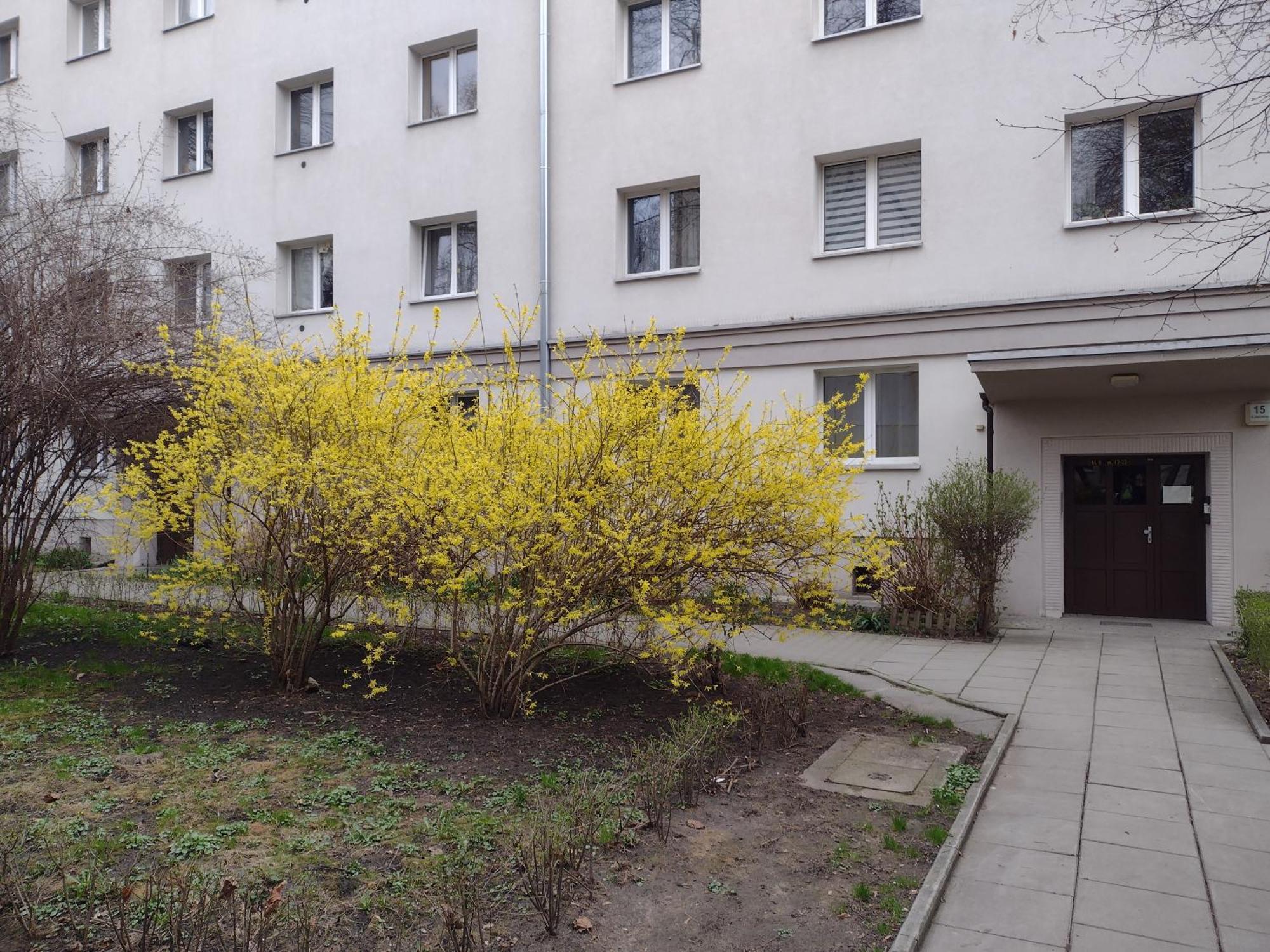 Cracowapart Ignacio A Kraków Exteriör bild